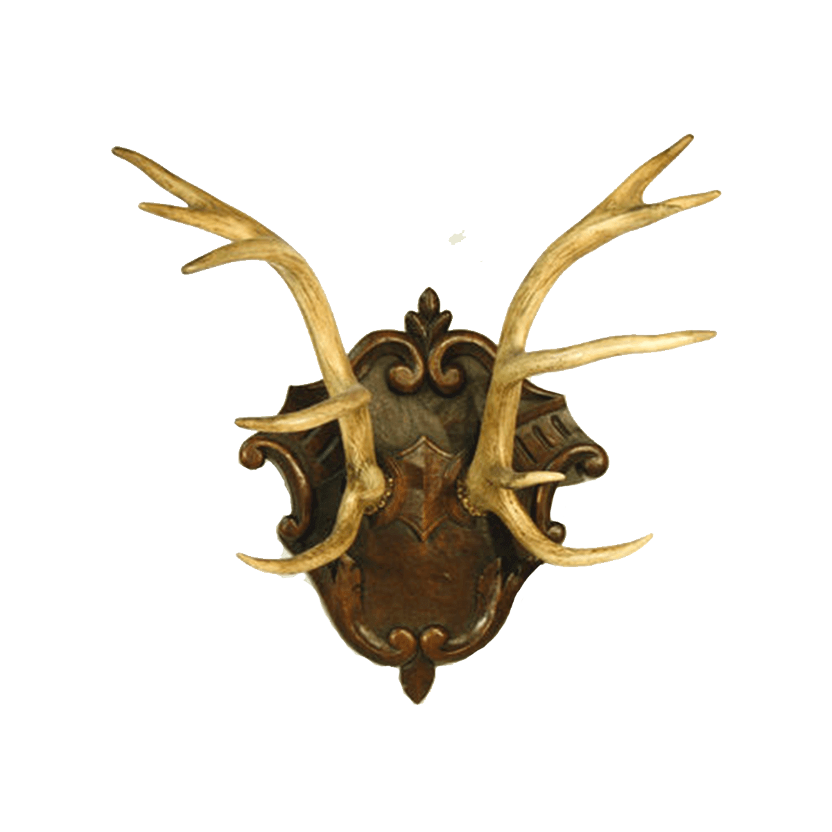 Trophée de cerf sur plaque sculptée de Brienz