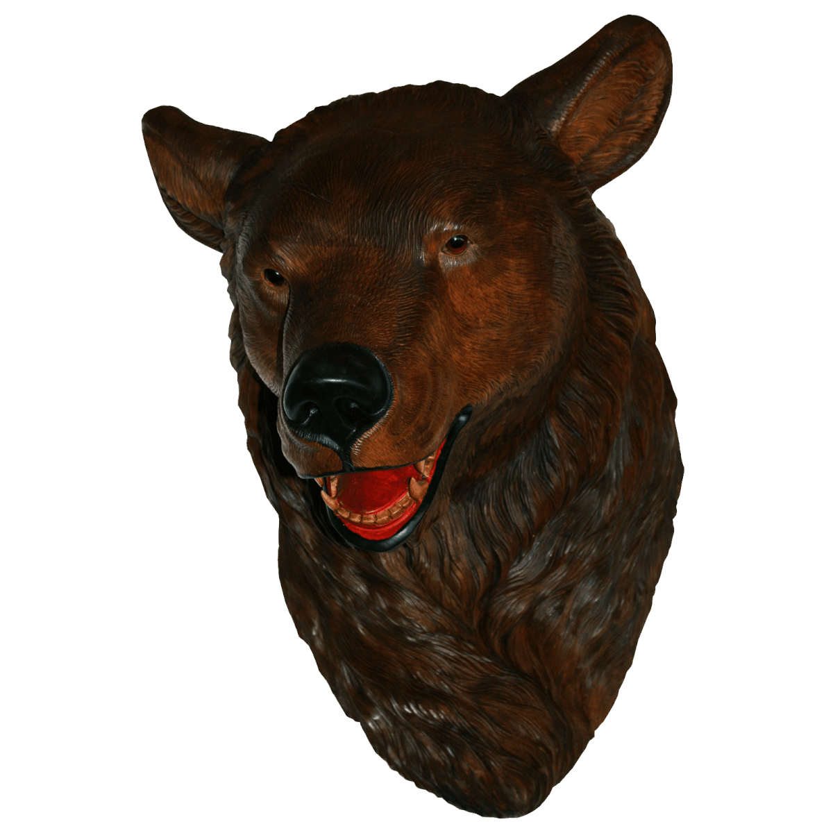 Tête ours de Brienz