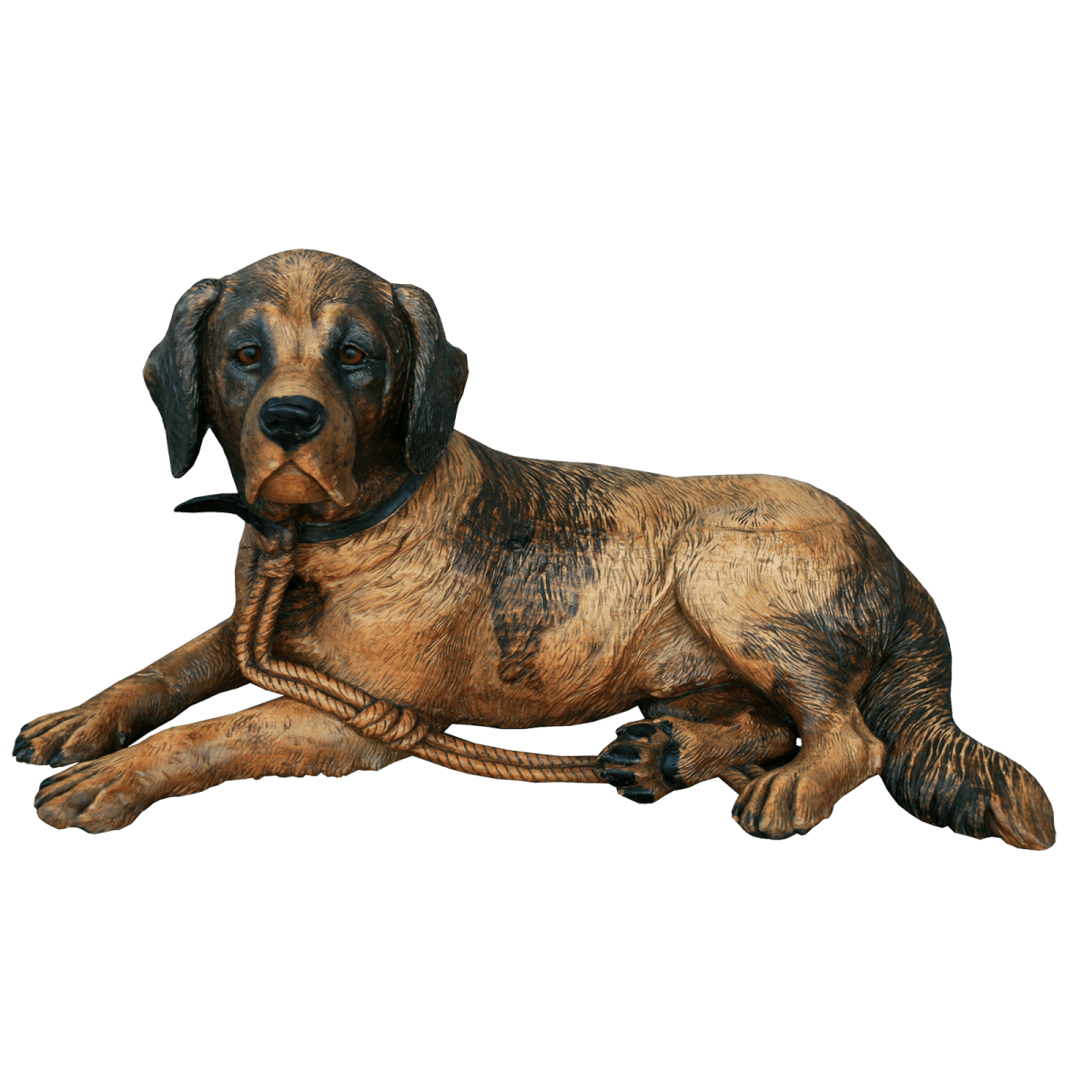 Rare chien de Brienz